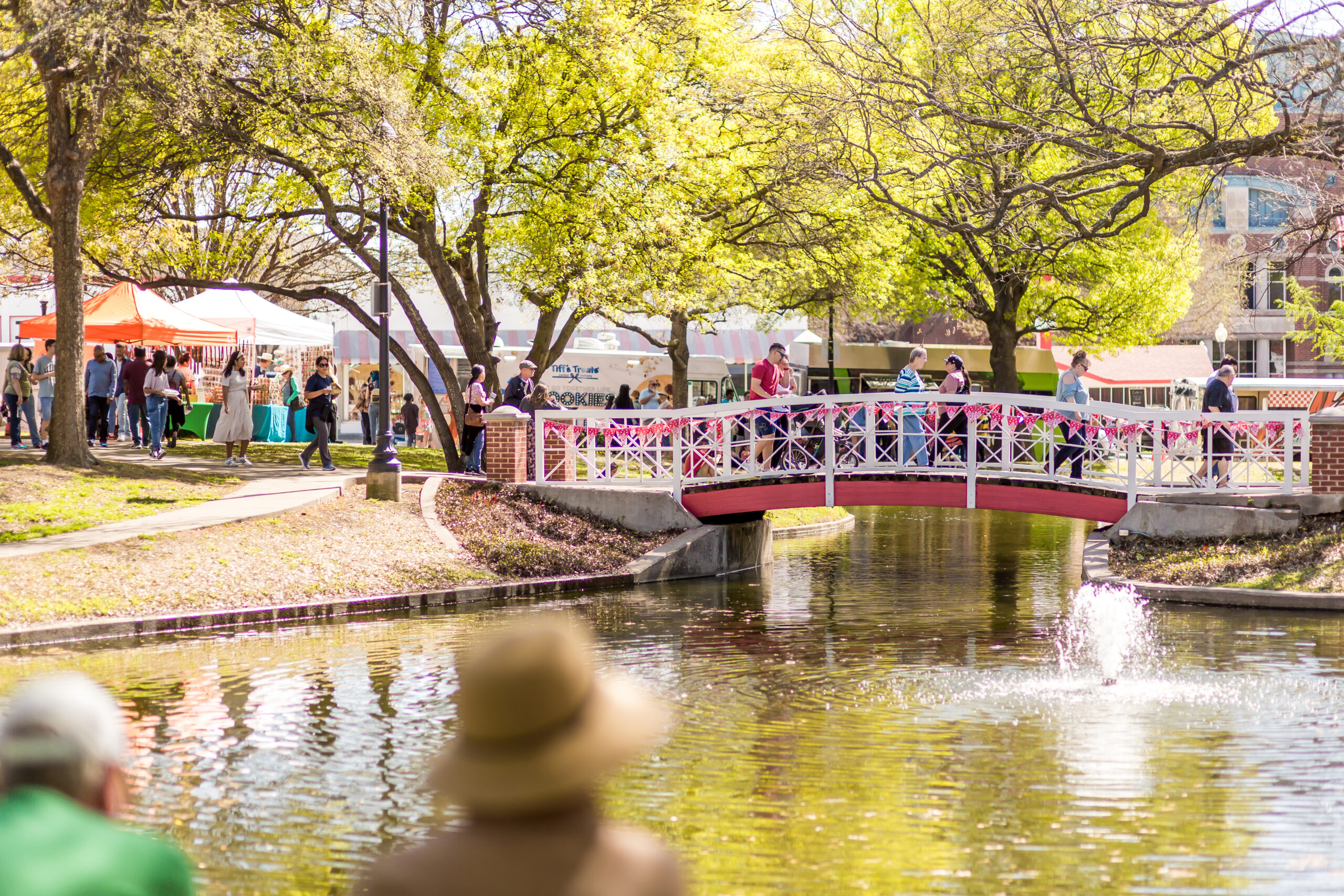 Artificial grass installation in Plano, TX
